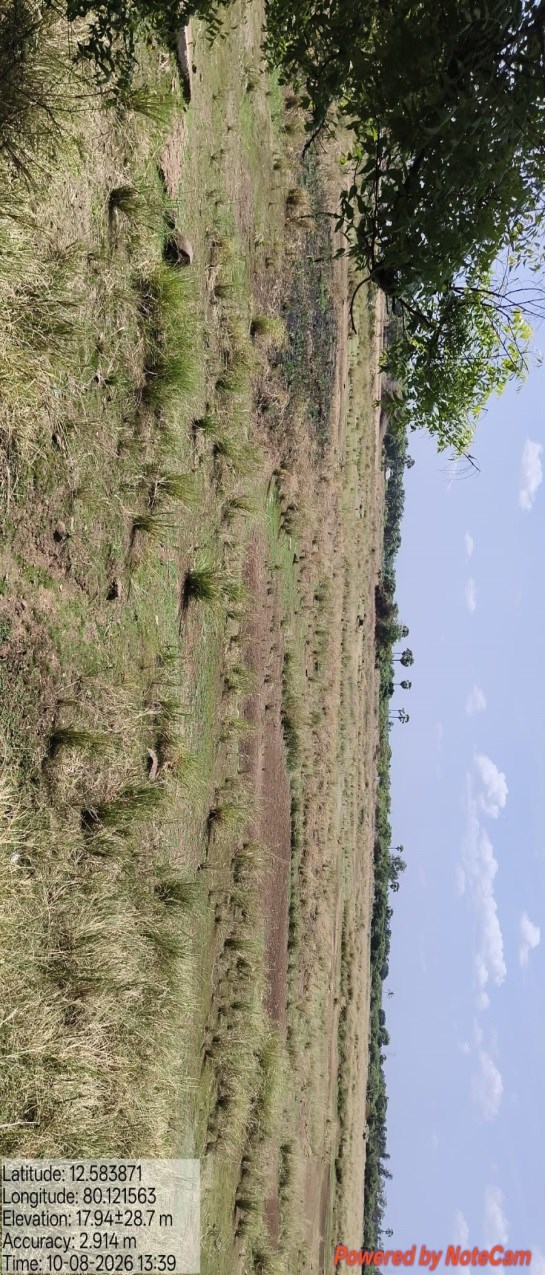 Desilting of Nallur Periya Eri (MI Tank) — Nallur Panchayat