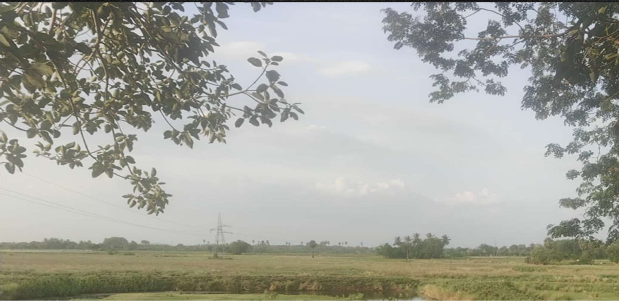 Desilting of Illedu Chetheri (MI Tank) — Chunambedu Panchayat