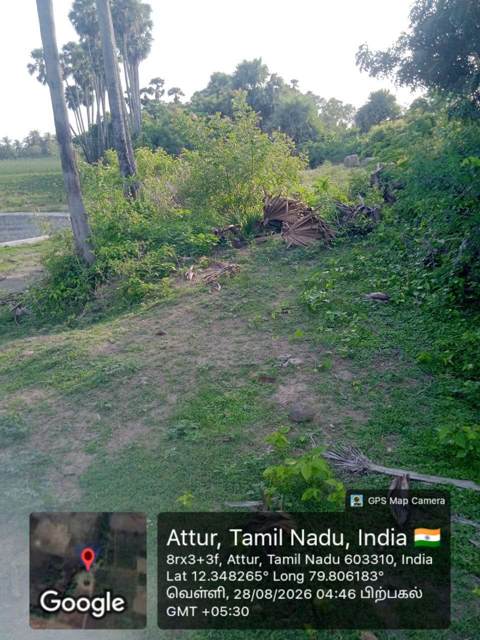 Desilting of Thuthuvilampattu Nurukkeri (MI Tank) — Puliyani Panchayat