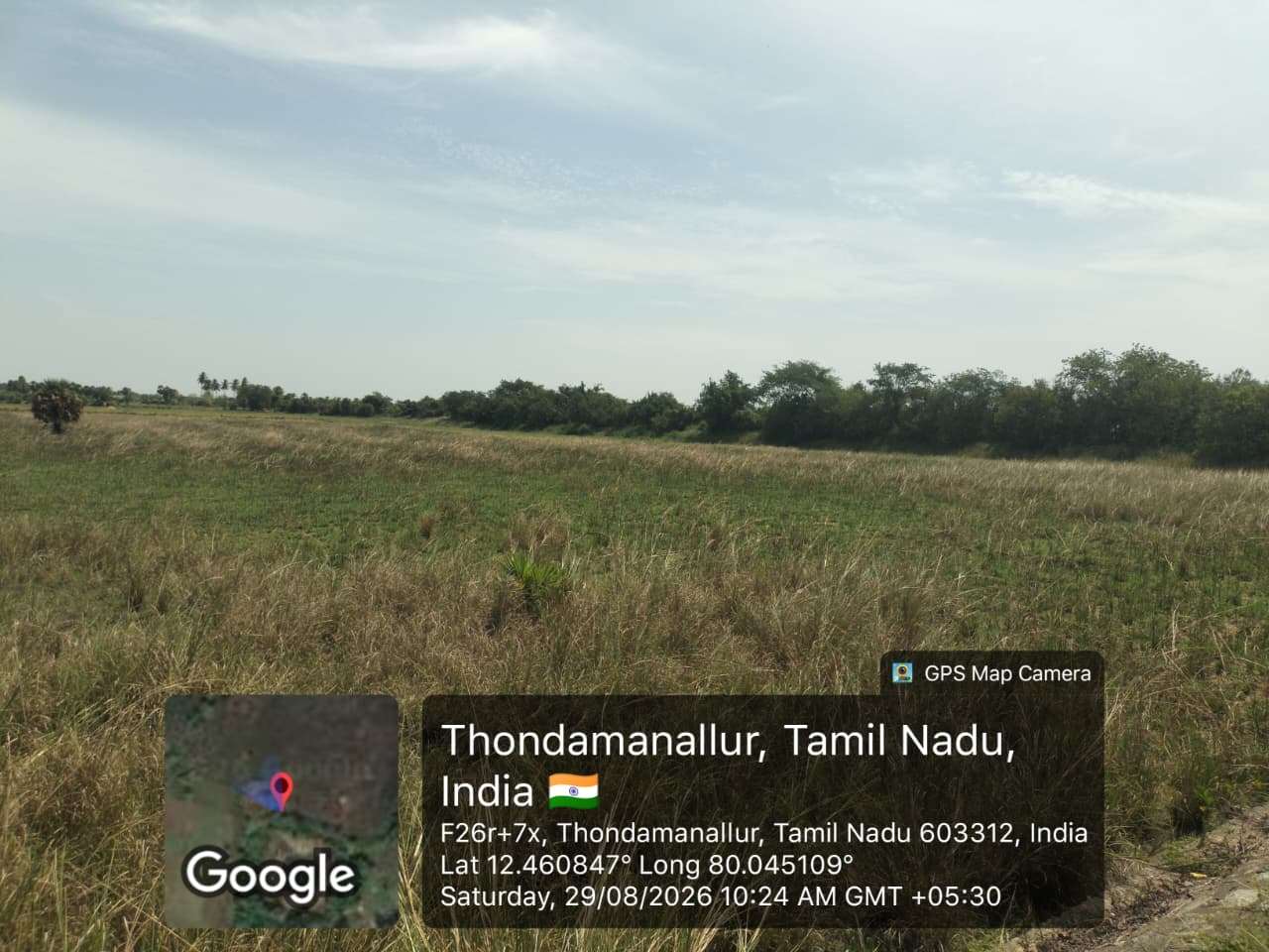 Desilting of Adu Thangal (MI Tank) — Nelvoypalayam Panchayat