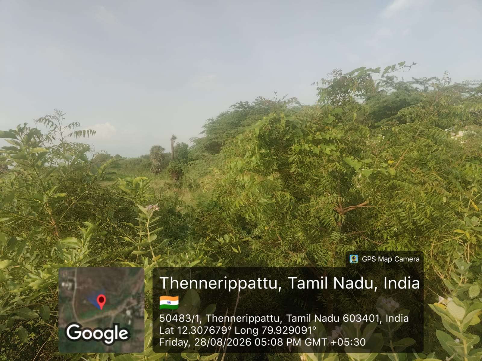 Desilting of Thenneripattu Eri (MI Tank) — Pondur Panchayat