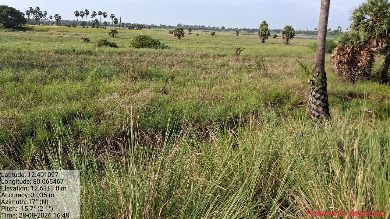 Desilting of Achivilagam Thangal (MI Tank) — Kodur Panchayat