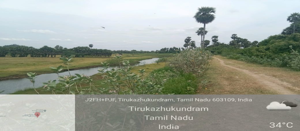 Satellite survey map with proposed desilting pits — Thagappan Thangal Eri