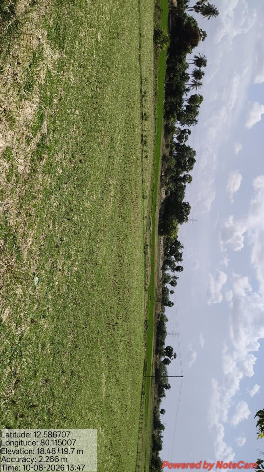 Desilting of Kadappan Thangal Eri (MI Tank) — Nallur Panchayat
