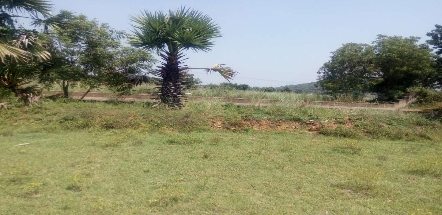 Desilting of Peruveli Eri (MI Tank) — Peruveli Panchayat