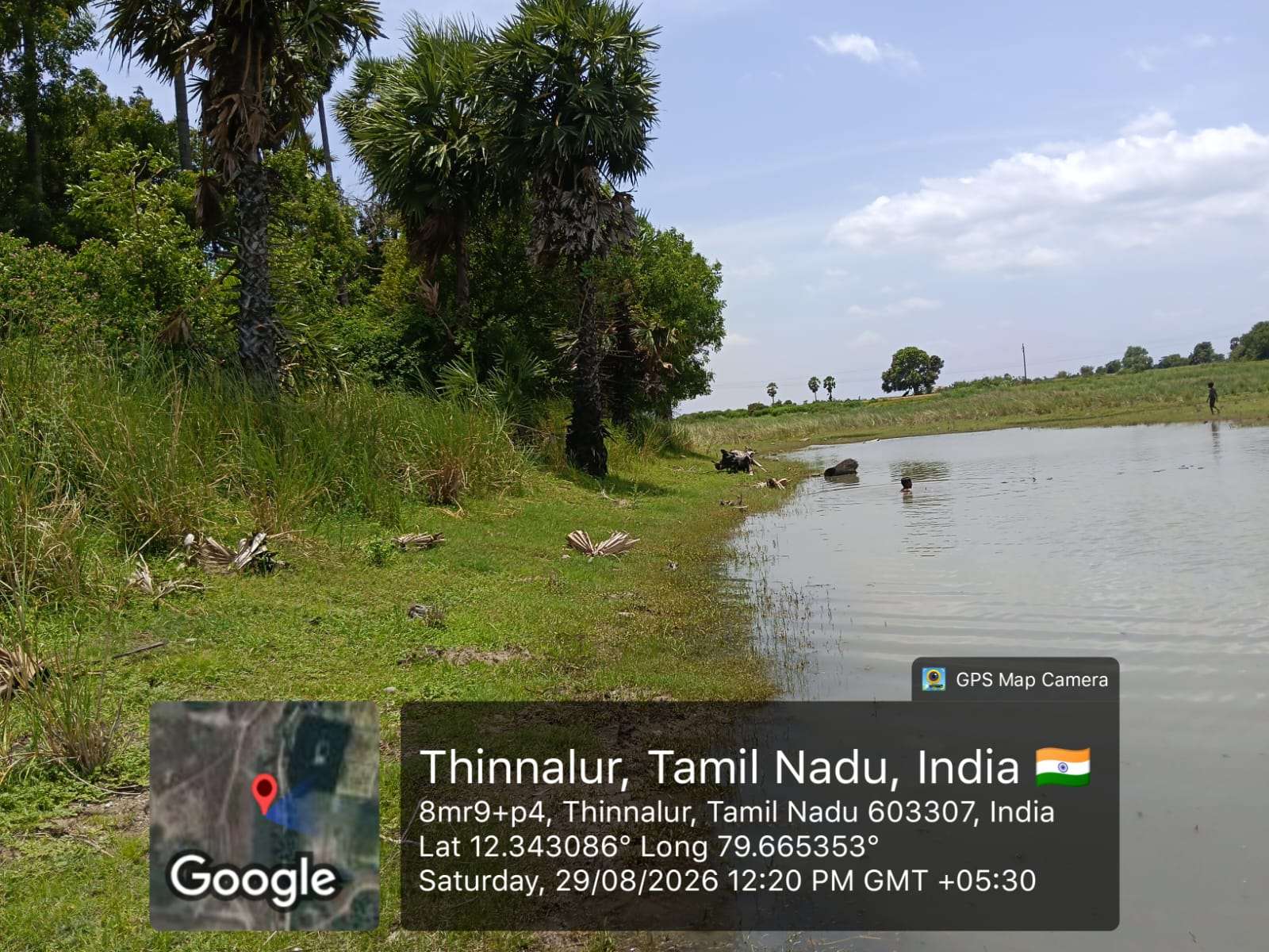 Desilting of Thinalur Kunnadi Thangal (MI Tank) — Thinnalur Panchayat