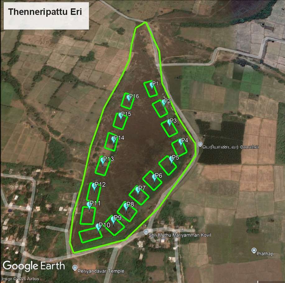 Satellite survey map with proposed desilting pits — Thenneripattu Eri