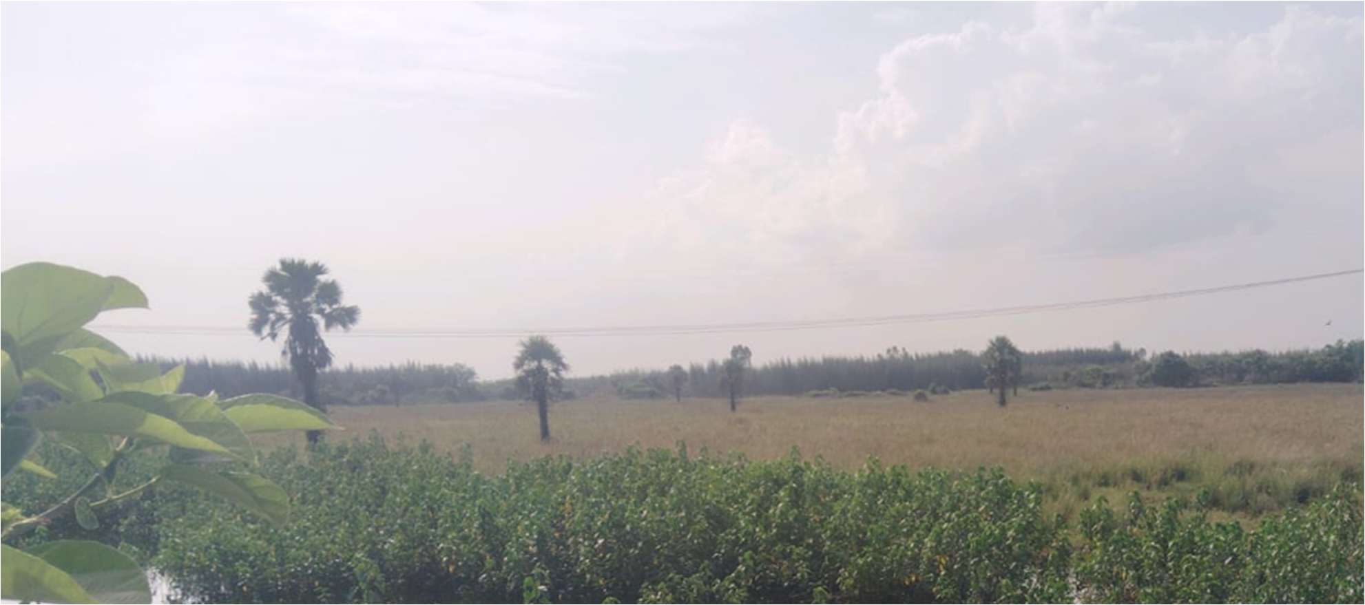Desilting of Siruvilambakkam Periya Eri (MI Tank) — Nergunam Panchayat