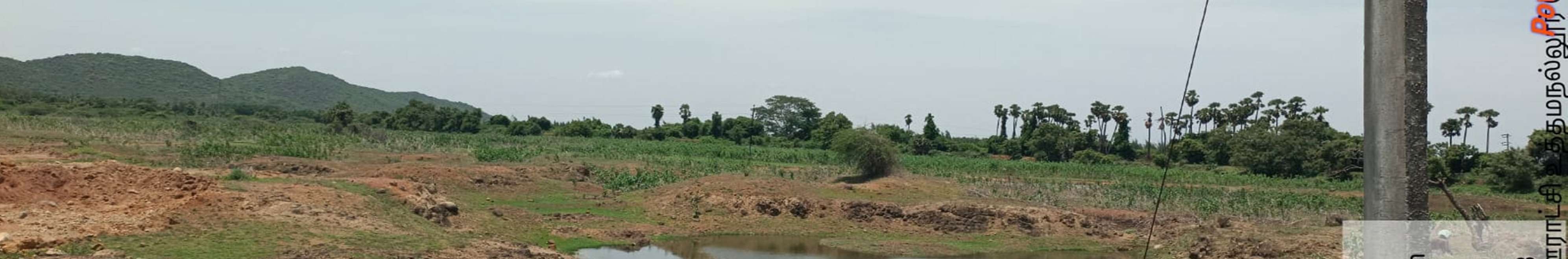 Satellite survey map with proposed desilting pits — Uthamanallur Eri
