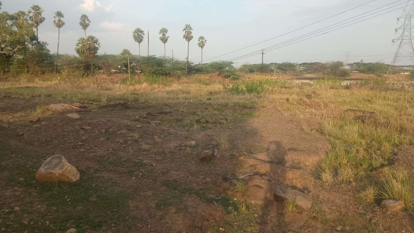 Desilting of Chinna Eri (MI Tank) — Silavattam Panchayat