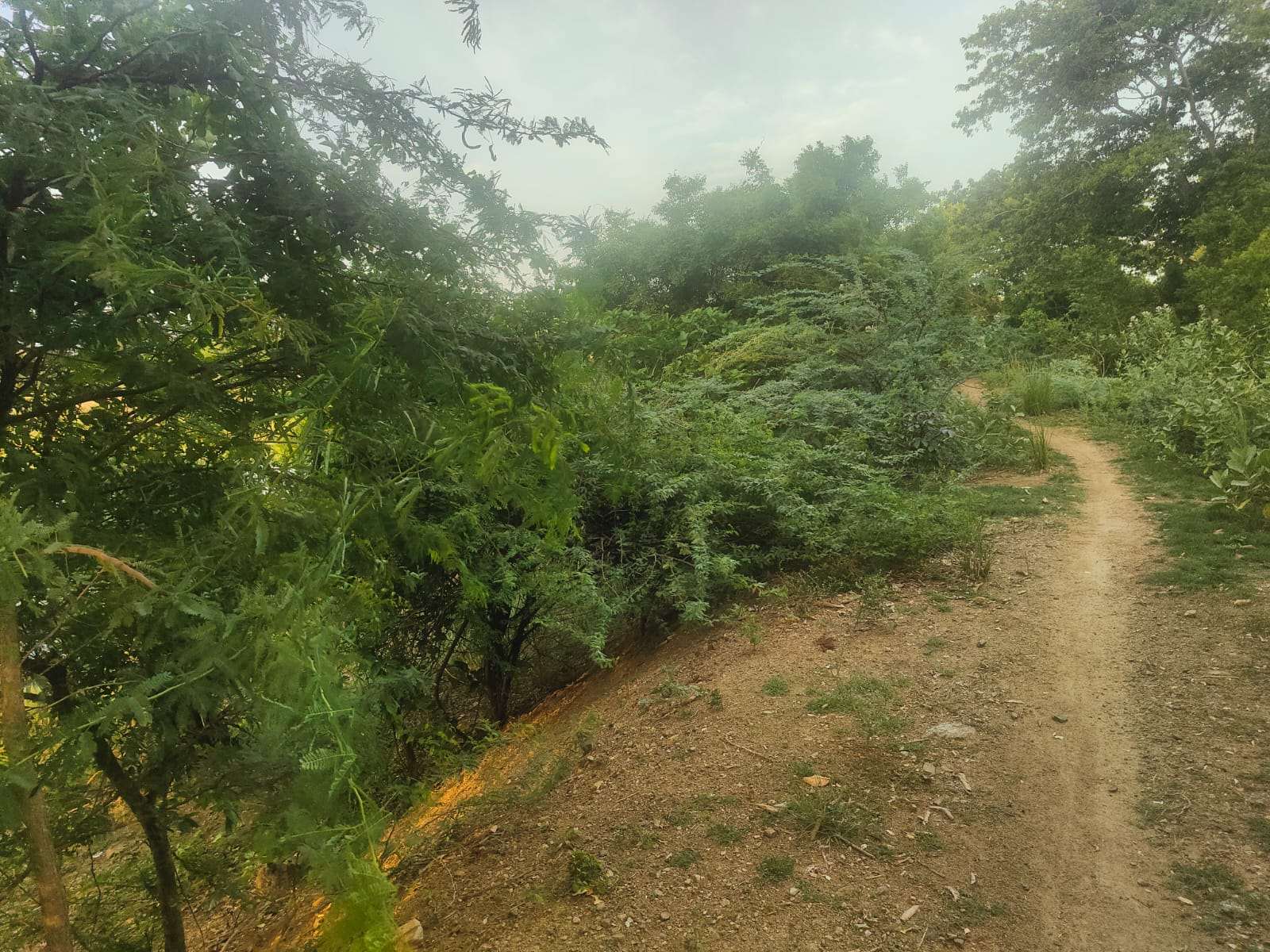 Desilting of Kosaravakkam Eri (MI Tank) — Chunambedu Panchayat