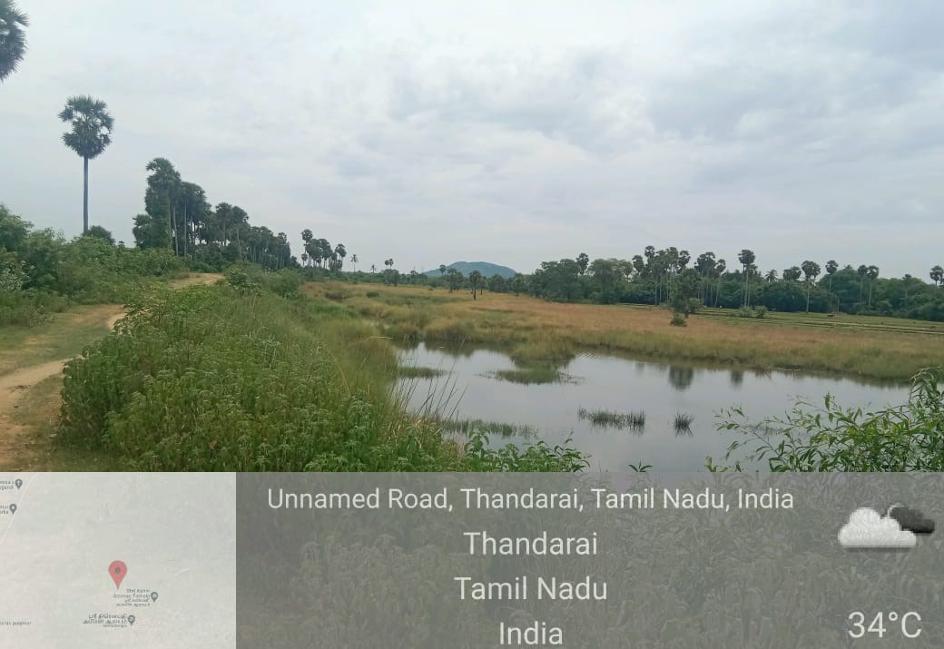Desilting of Boodheri (MI Tank) — Thazhambedu Panchayat