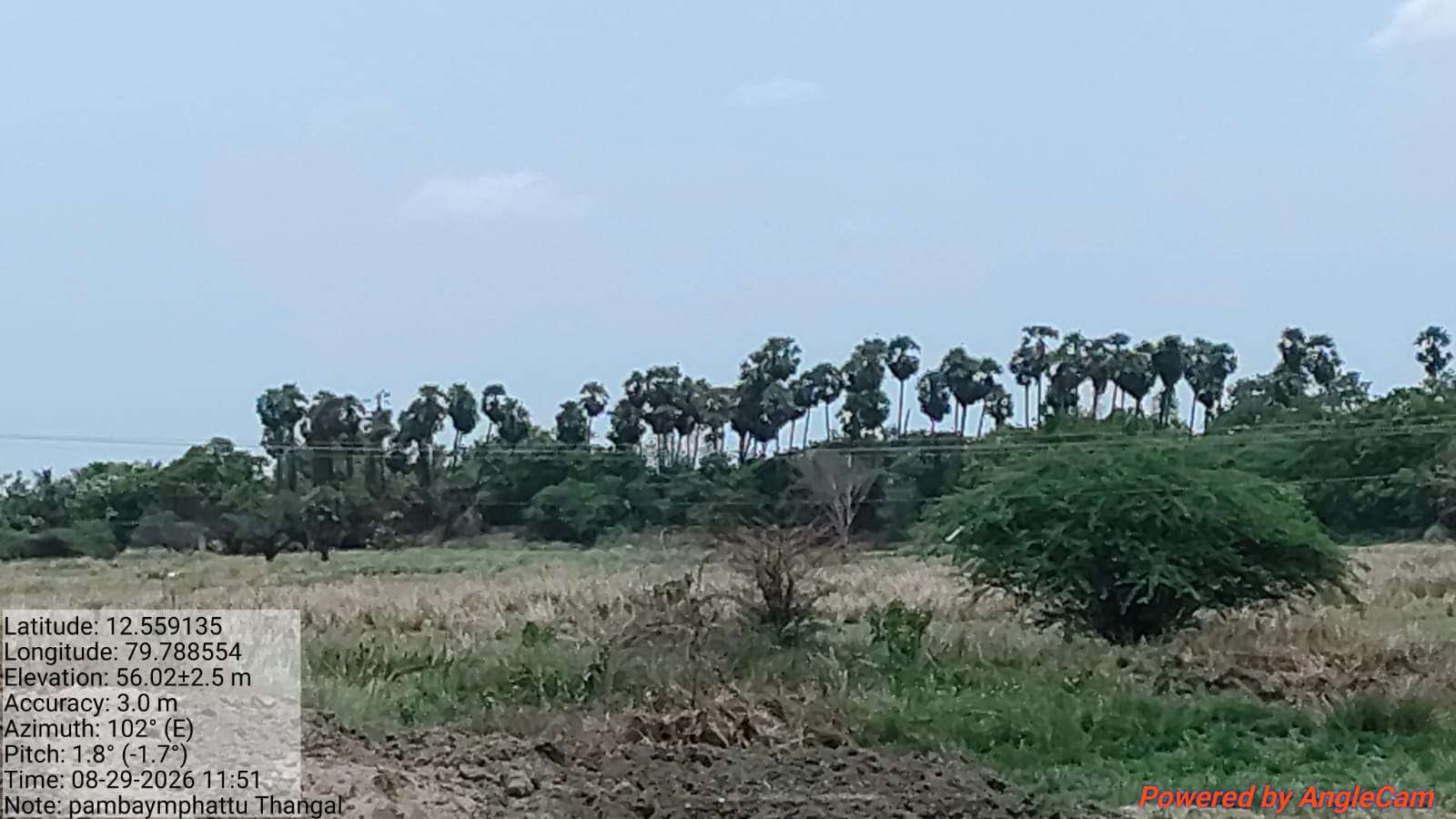 Desilting of Pampayampettu Thangal (MI Tank) — Kozhiyalam Panchayat