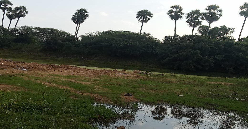 Desilting of Thangal Eri (Thiruvanai Kovil) (MI Tank) — P.V. Kalathur Panchayat